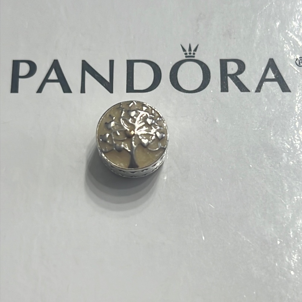 Pandora charm